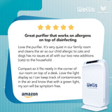 Wellis Air and Surface Disinfection Purifier