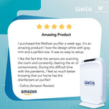 Wellis Air and Surface Disinfection Purifier