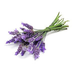 Doterra Food Oils- Lavender (Food) (Lavandula Angustifolia) 5ml